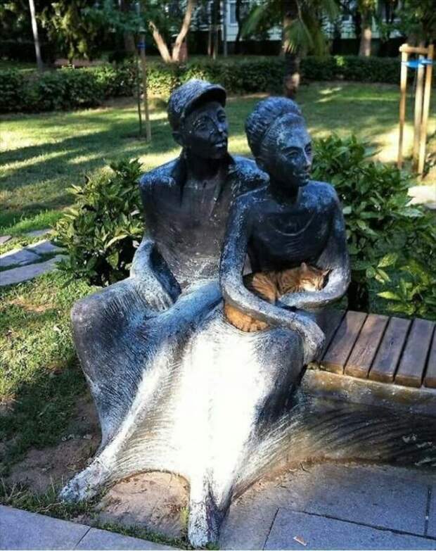 Любимое место для отдыха, где светит солнышко и нет сквозняков.