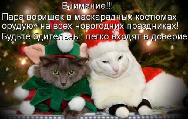 1325250301-1325212523_1325016190_441582 (640x408, 149Kb)