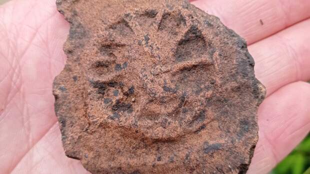 Археологические открытия Старой Рязани пополнили коллекцию уникальных артефактов