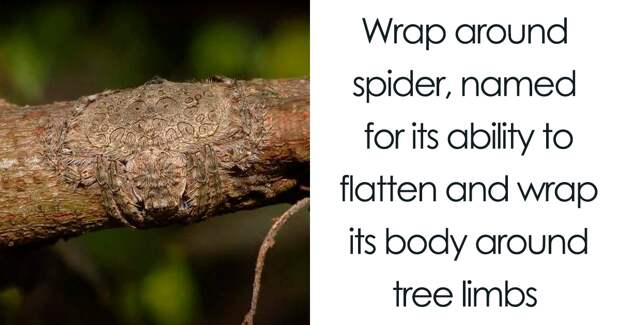 73 Pics Of Nature That Are So Terrifying You Probably Won’t Finish Scrolling