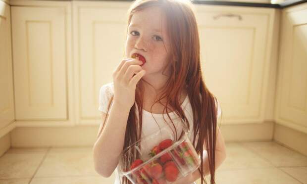 Два простых теста, чтобы выбрать клубнику без токсинов