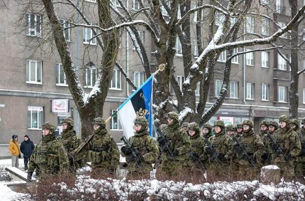 Эстония оказалась самой «решительной» в защите Гренландии от Трампа