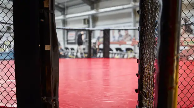 Россияне стартовали с пяти побед в первый день чемпионата мира по ММА