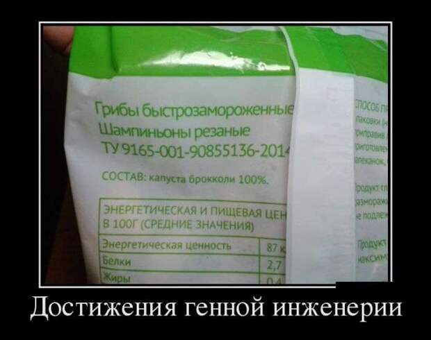 Демотивируемся! Демотивируемся!