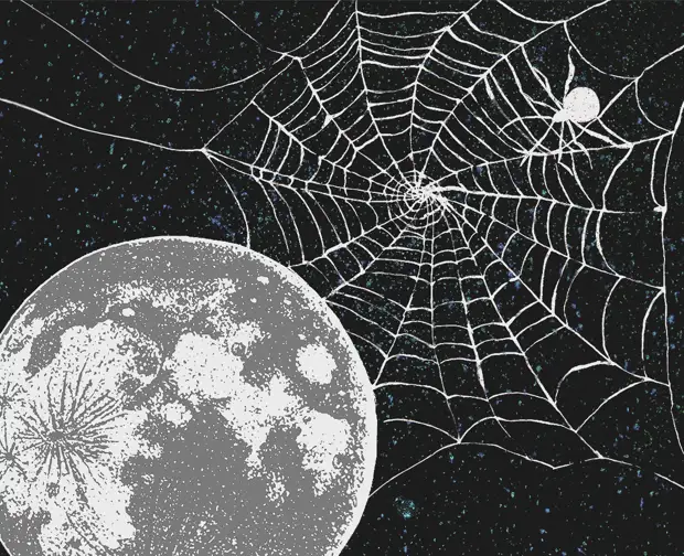 Необычные научные эксперименты, которые проводились в космосе