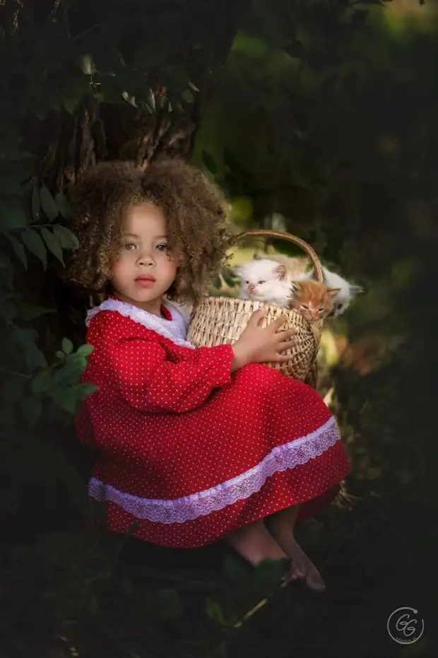 �������������� ������������ �����