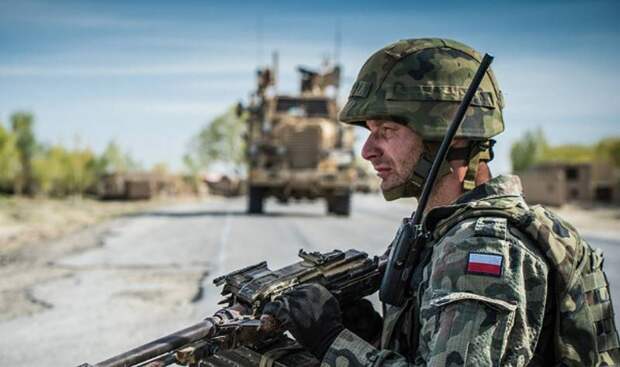 Новый польский разведбатальон развернут у границ России и Белоруссии