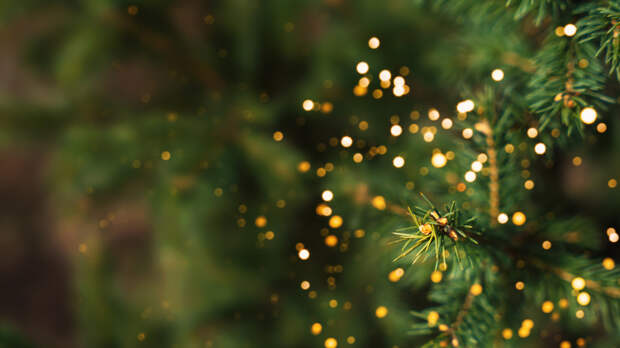 Пульмонолог Пятикова: искусственные ели могут быть вредны для здоровья