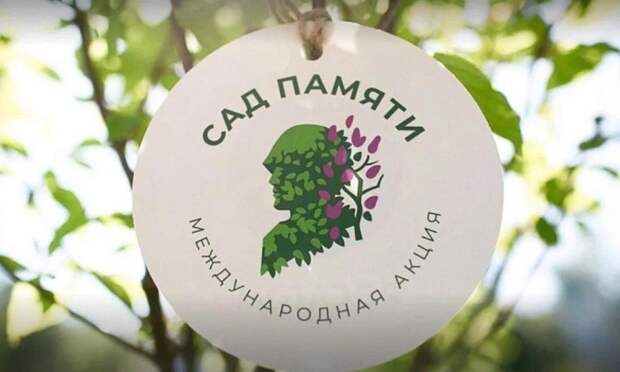 В Поморье карта акции «Сад Памяти» пополняется новыми адресами: посадки пройдут в Виноградовском и Красноборском округах