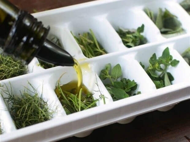 Пожелтевшую зелень сложите в формочку для льда, залейте оливковым маслом и заморозьте. Такие кубики отлично подойдут для заправки салатов, супов и соусов.