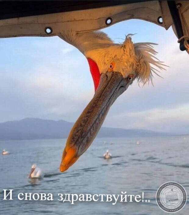 И снова здравствуйте