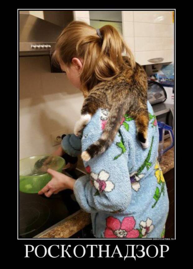 11604718_roskotnadzor