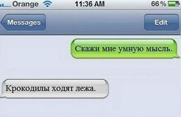 Смешные комменты из соцсетей и не только #37 Смешные комменты из соцсетей и не только #37 комменты, прикол, соцсети, умора, юмор