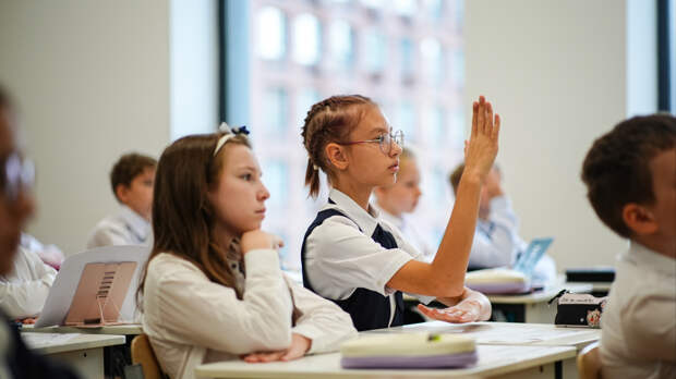 «Десяти лет достаточно»: глава РАН о школьном образовании