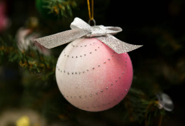 Спасатель рассказал россиянам, как безопасно нарядить ёлку к Новому году