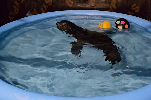 4. Без подписи