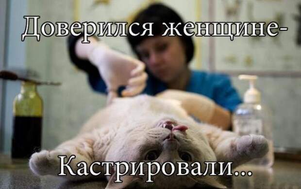 Вот, до чего доводят женщины! 11 наглядных примеров