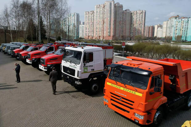 Воробьев: лесничества Подмосковья получат более 120 единиц техники
