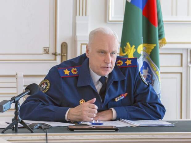 Глава СКР хочет наказать судью, отпустивших на свободу напавших на депутата мигрантов