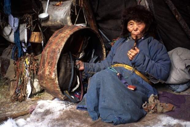 Последние кочевые оленеводы Монголии быт, кочевник, культура, монголия, народ, племя, фотомир, цаатаны