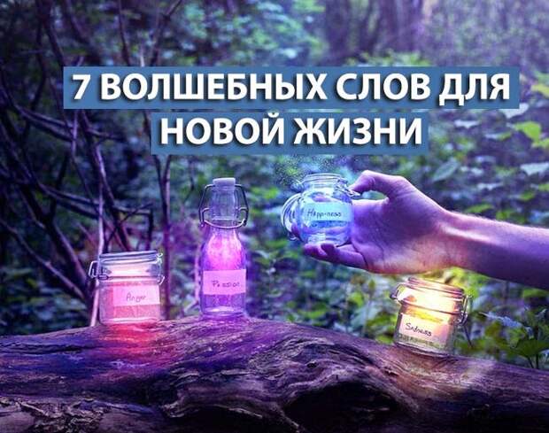 7 волшебных слов для новой жизни