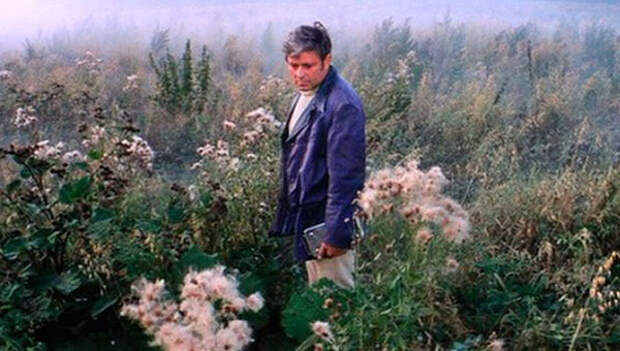 Разгневанные писатели