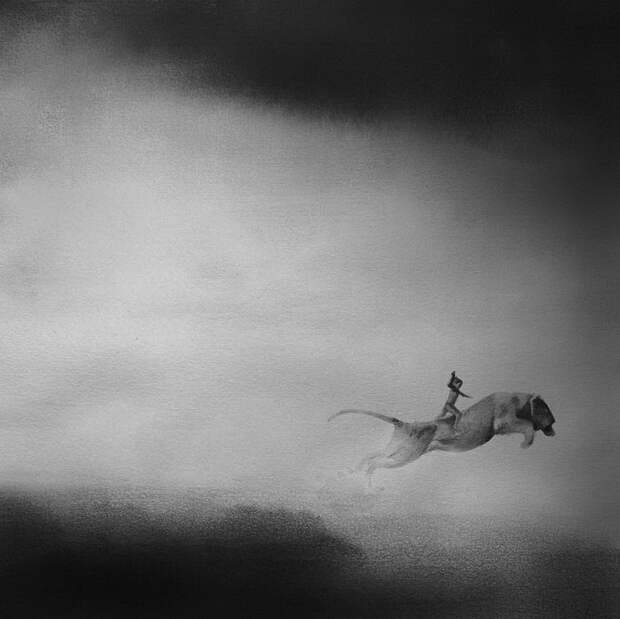 Черно-белые акварели Elicia Edijanto Черно-белые акварели Elicia Edijanto