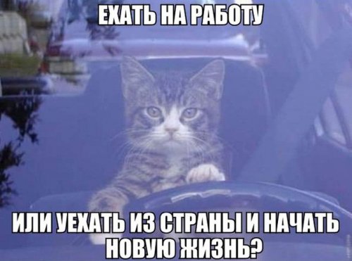 Фото-приколы и картинки (62 шт)