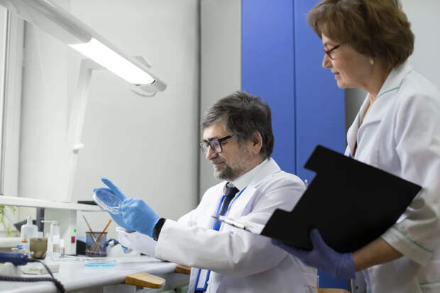 «Болезнь X» грозит человечеству. Врач оценил вероятность пандемии в 2026 году