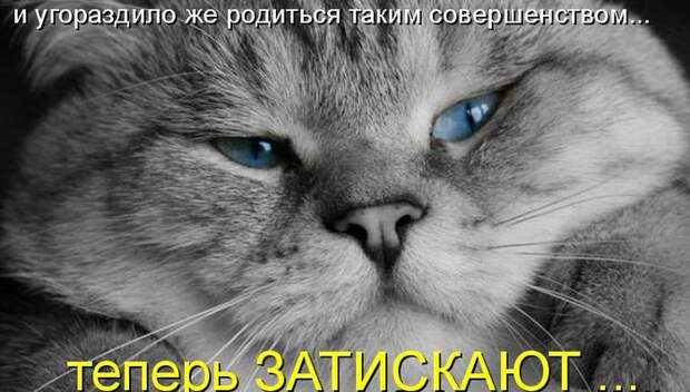 Мысли вслух :)