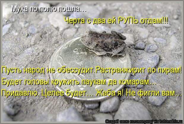 Лучшие котоматрицы недели (50 фото)