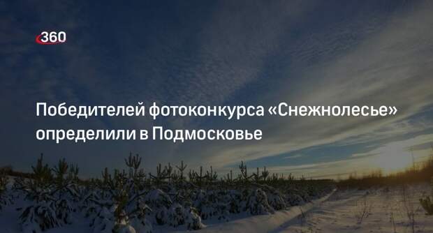 Победителей фотоконкурса «Снежнолесье» определили в Подмосковье
