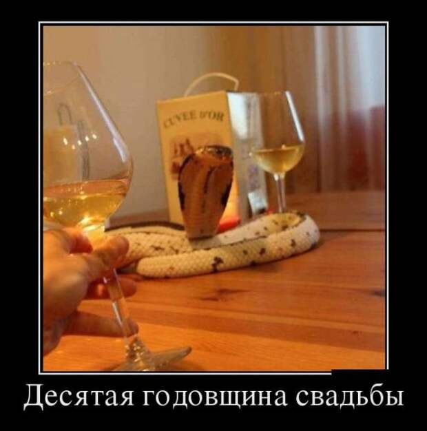 Демотиваторы на четверг (29 фото)