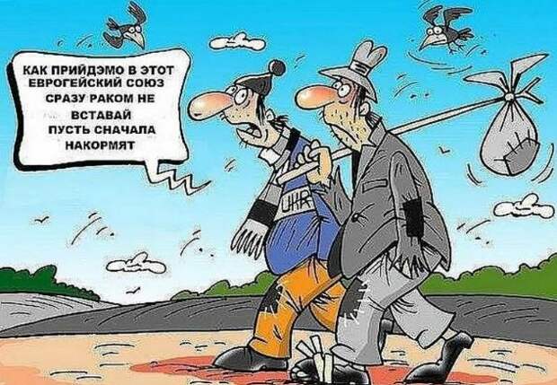 Что-то пошло не так. Украина уже меньше хочет в НАТО и ЕС