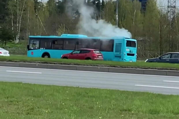 78: петербургские лазурные автобусы дымят из-за неисправной системы охлаждения