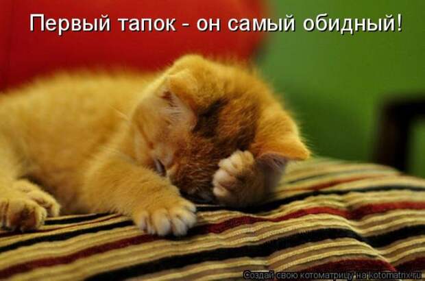 Мысли вслух :)