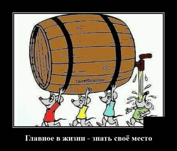 Демотиваторы 18 августа 2020