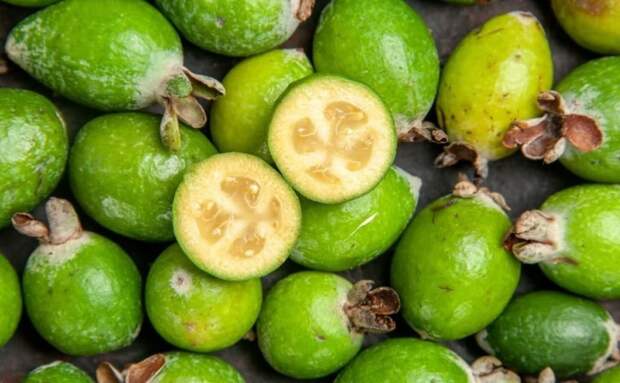 Screenshot_2025_09_22-4