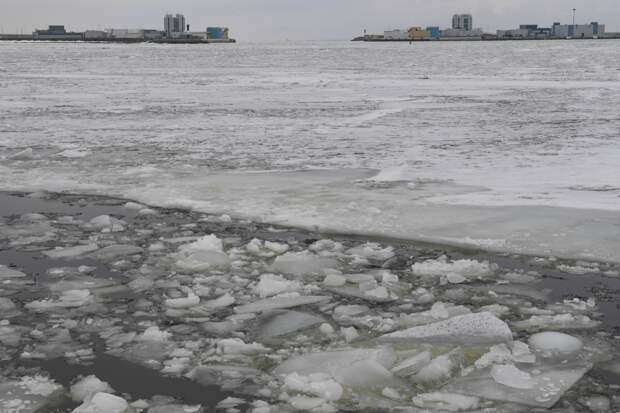 В России ответили на ноту Эстонии из-за ледокола