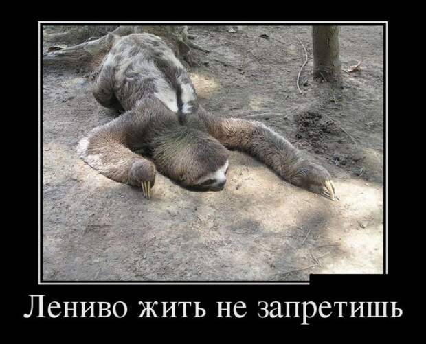 Демотиваторы (30 фото)