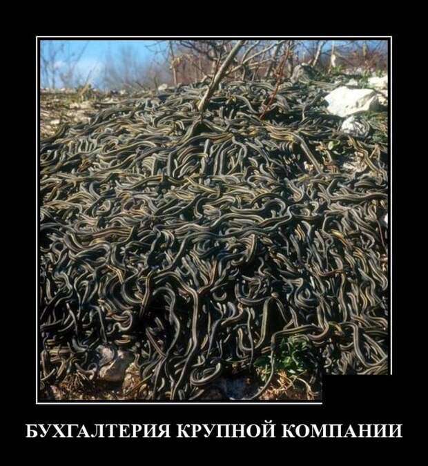Демотиваторы 29 апреля 2021