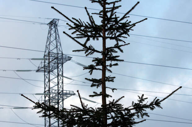 В Ростове-на-Дону пресечено совершение террористического акта