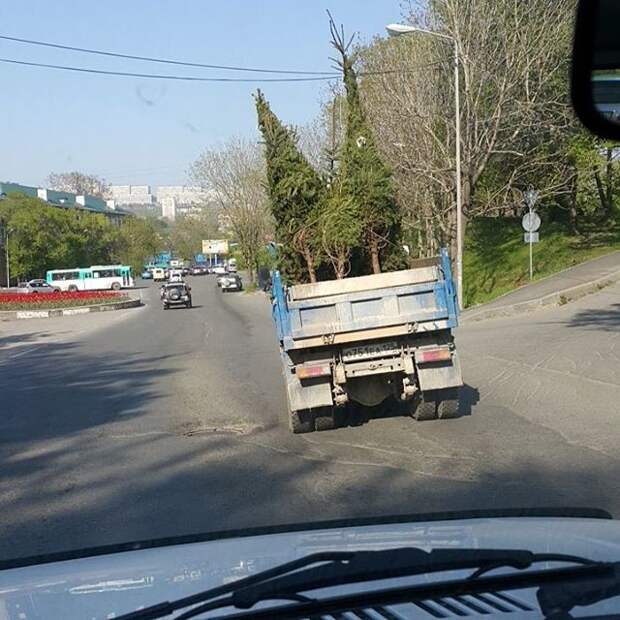 16 июня, город Владивосток  дурдом, прикол, психи, психушка, юмор