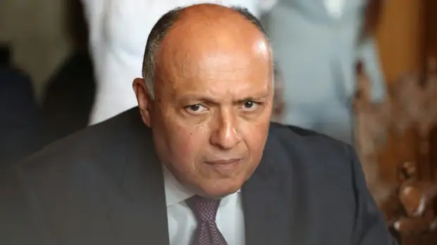 Шукри рассказал о результатах сотрудничества МИД и Минобороны России и Египта