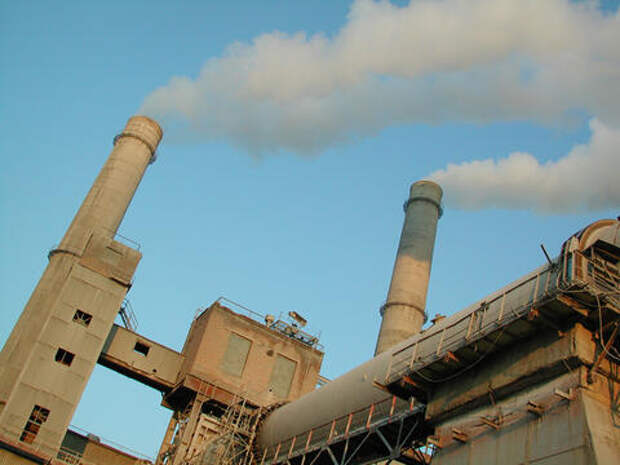 Цементный завод «Горный» судится с властями Новороссийска, чтобы вырубить 61 га леса