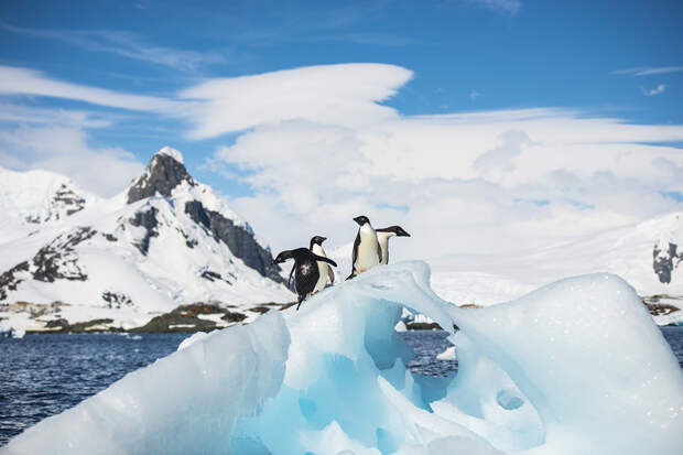 Климатологи бьют тревогу: тает огромный ледник в Антарктиде