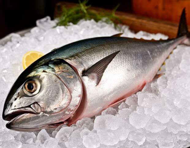 Импорт тунца в Россию в 2025 году вырос на 13%, больше всего из Таиланда