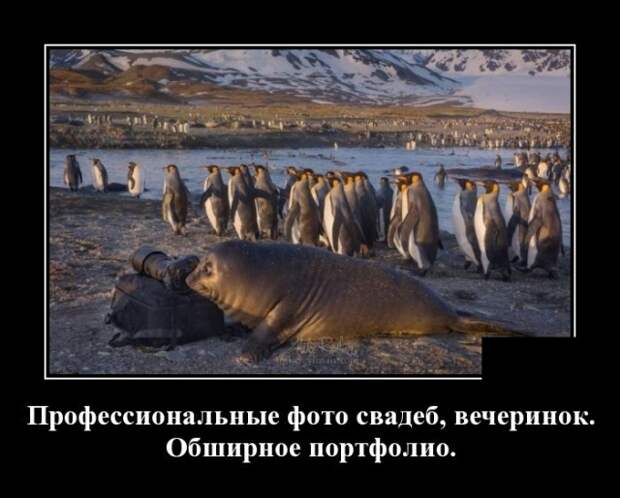 Демотиваторы (30 фото)