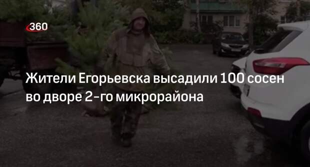 Жители Егорьевска высадили 100 сосен во дворе 2-го микрорайона