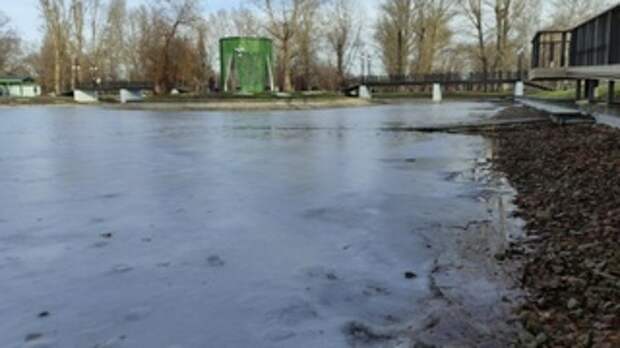 Застывший пруд в парке